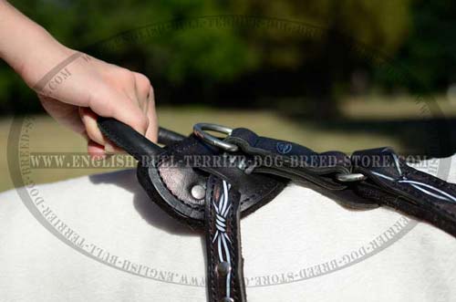 Reliable Round Handle of Barbed Wire Painted Leather Dog Harness