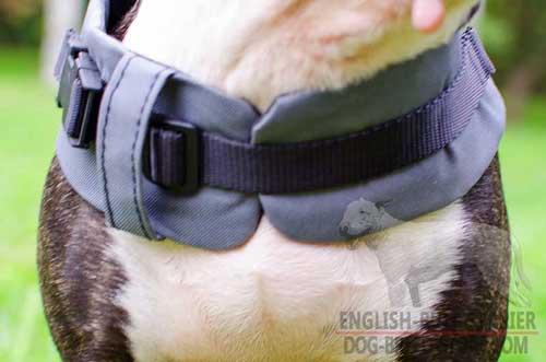 Plastic Quick Release Buckle on Water Proof Nylon Dog Vest