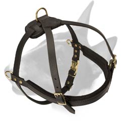 Reliable harness for pulling activities