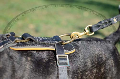 Leather harness with nappa padding