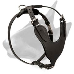 Leather dog harness for walking
