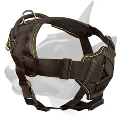Multi-task nylon Bull Terrier harness