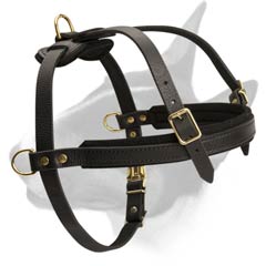 Professional leather dog harness