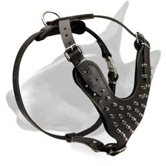 Leather dog harness with decorative spikes