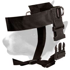 Well conceived training dog harness