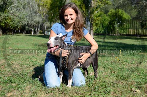 Super dog harness for walking