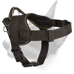 Nylon dog harness for many purposes