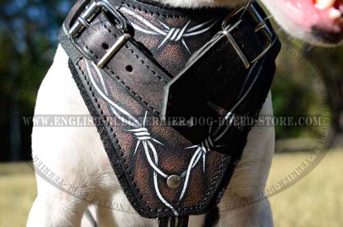 Dog harness made of full grain leather