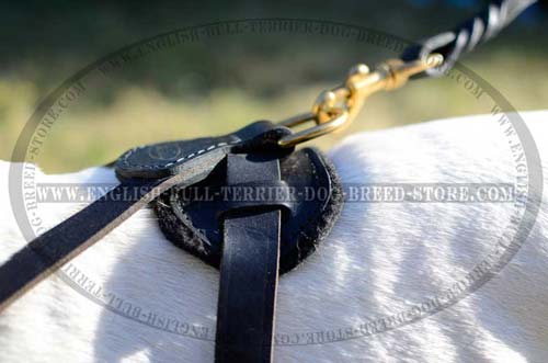 Well designed Bull Terrier dog harness