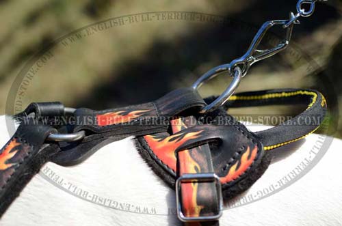 Rust Resistant Ring on Leather Dog Harness for Attachment of the Leash