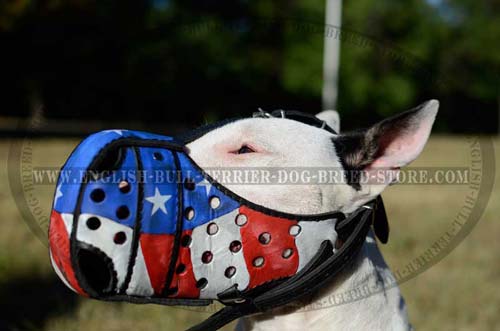 Hand-painted leather dog muzzle