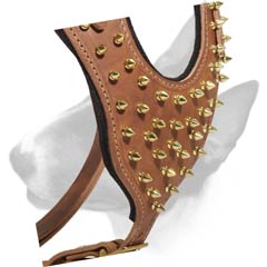 Chest plate decorated with brass spikes
