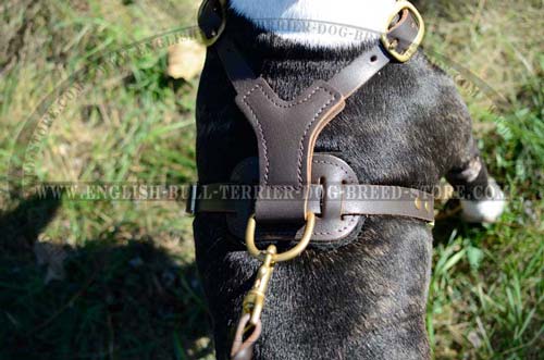 Neatly stitched leather dog harness