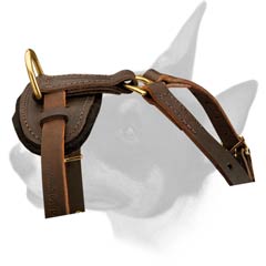 Full grain leather harness for Bull Terriers