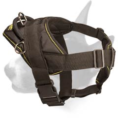 All-seasons dog harness