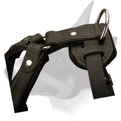 High quality leather dog harness