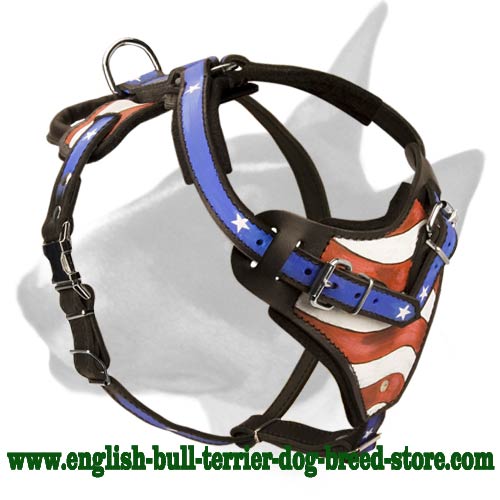 Hand-Painted Soft Padded Leather Bull Terrier Harness