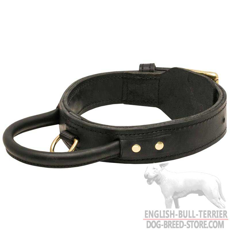 Training Leather Bull Terrier Collar With Reliable Handle