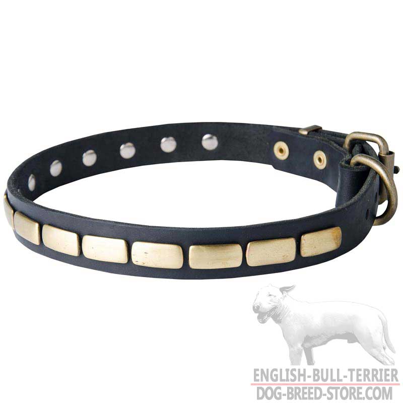 Decorated Leather Bull Terrier Collar with Brass Plates - Click Image to Close