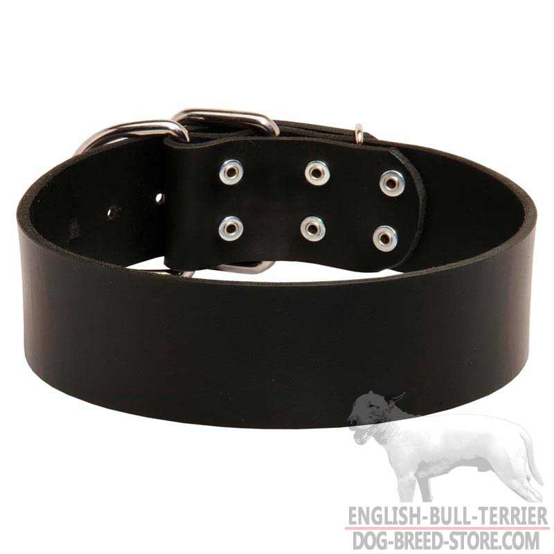 Extra Wide Leather Bull Terrier Collar for Every Day Use