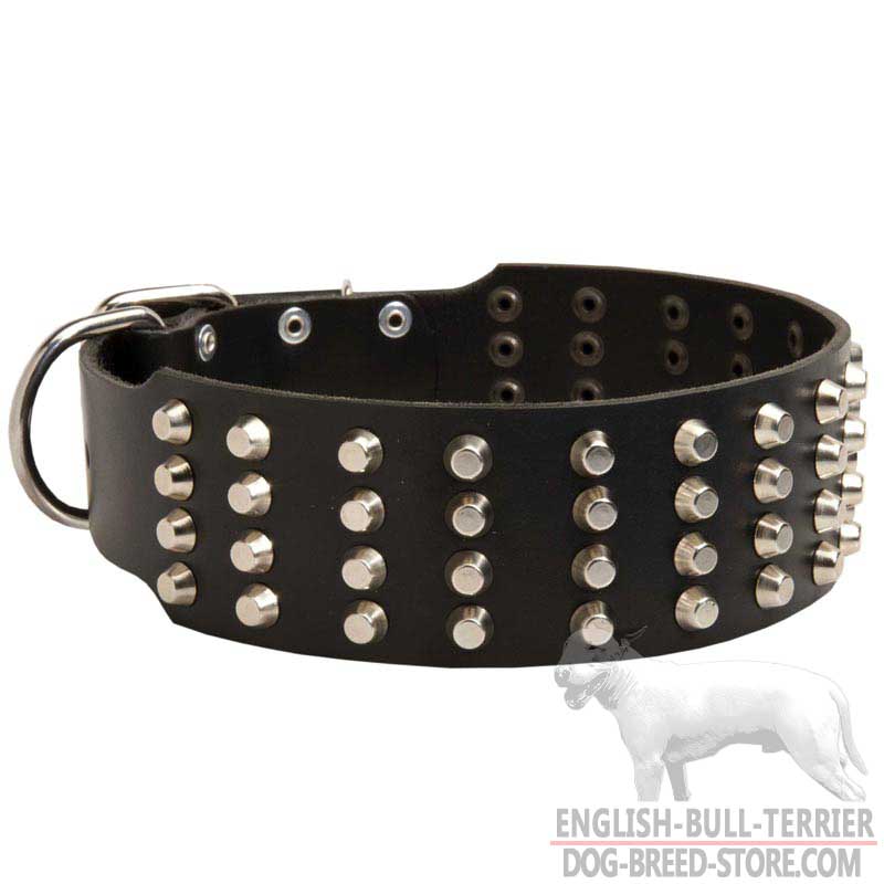 Extra Wide Leather Bull Terrier Collar with Nickel Plated Studs