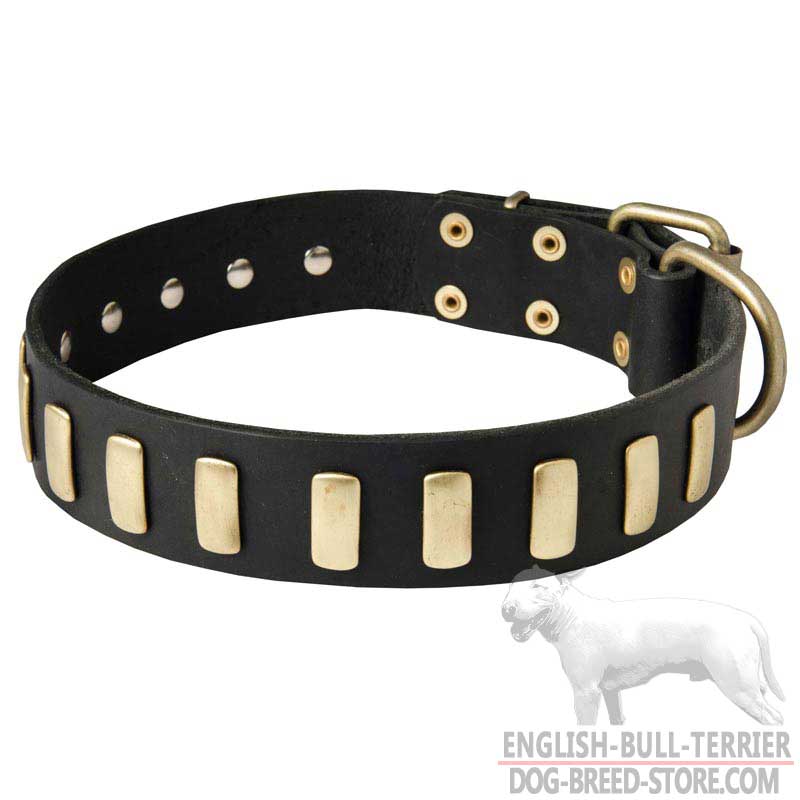 Fashionable Wide Leather Bull Terrier Collar with Brass Plates
