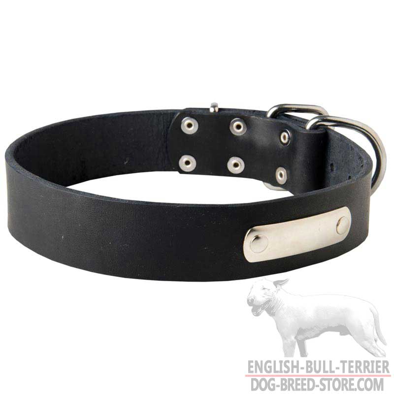 Durable Leather Bull Terrier Collar Equipped With ID Tag