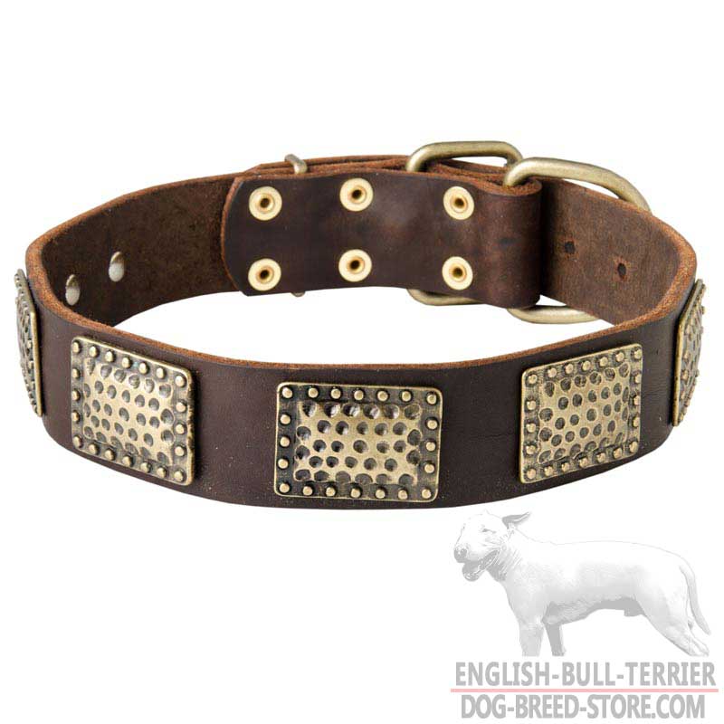 Wide Vintage Design Bull Terrier Collar with Brass Plates