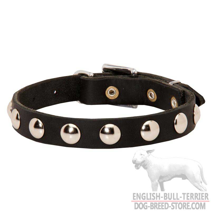 Studded Leather Bull Terrier Collar for Training and Walking