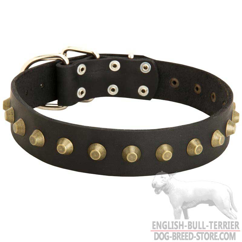 Reliable Leather Bull Terrier Collar with Brass Pyramids