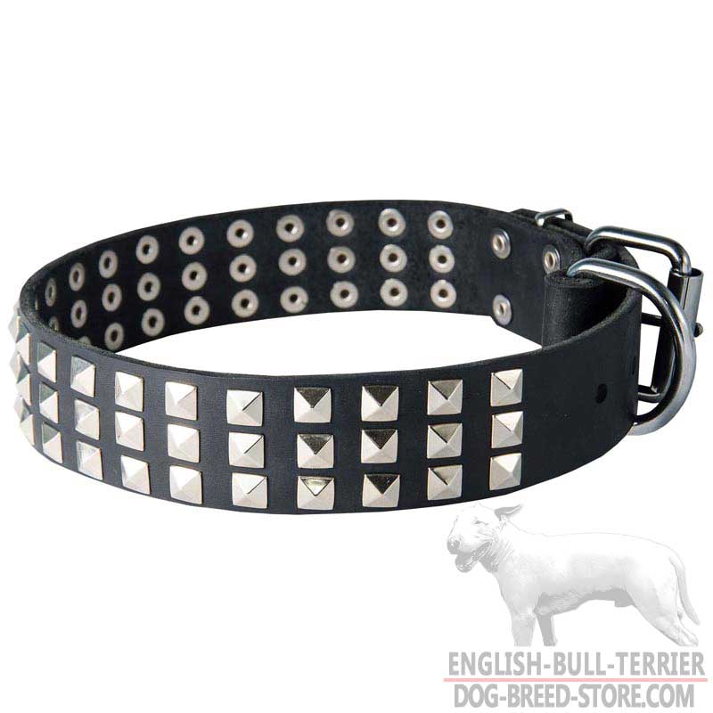 Gorgeous Wide Leather Bull Terrier Collar With Fancy Studs