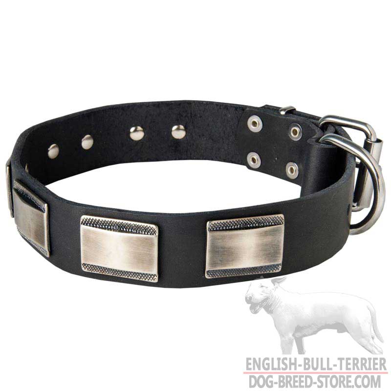 Exceptional Leather Bull Terrier Collar For Everyday Use - Click Image to Close