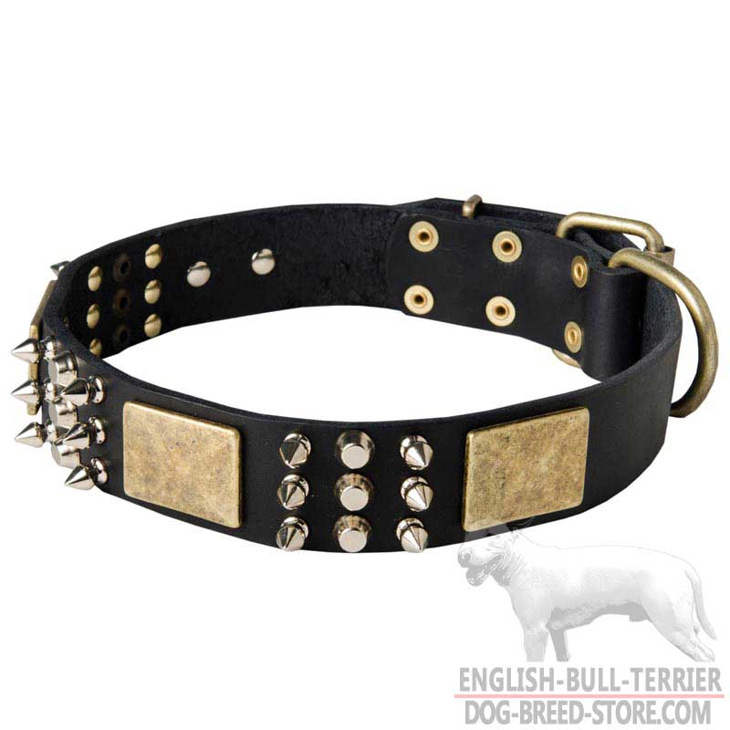 Leather Bull Terrier Collar with Massive Plates, Spikes and Studs