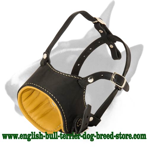 Anti-Barking Leather Bull Terrier Muzzle with Nappa Padding