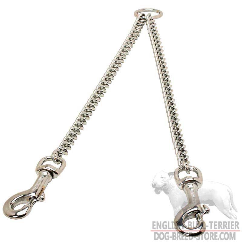 Chrome Plated Bull Terrier Coupler for Walking