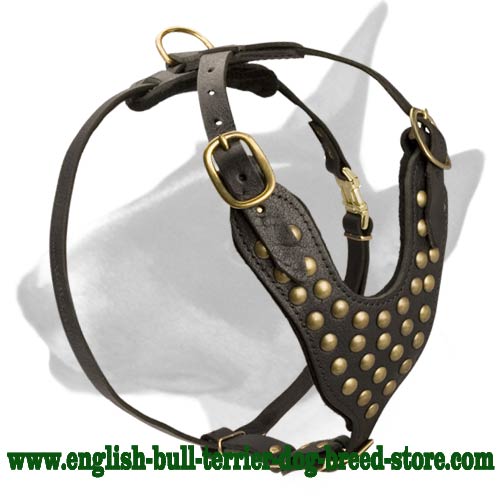 Designer Studded Leather Bull Terrier Harness