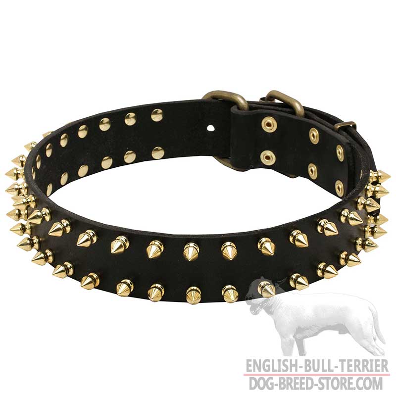 "Unveiled Luxury" English Bull Terrier Dog Leather Collar