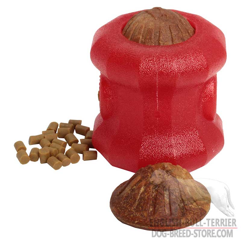 Rolling Feeder Bull Terrier Dog Treat Dispenser, Large Size [TT29