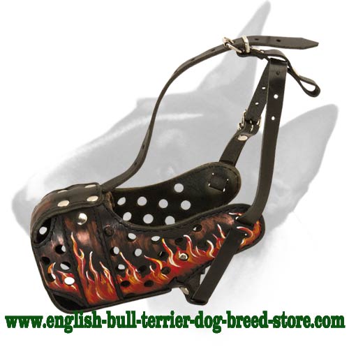 Designer Flamed Leather Bull Terrier Muzzle for Attack Training