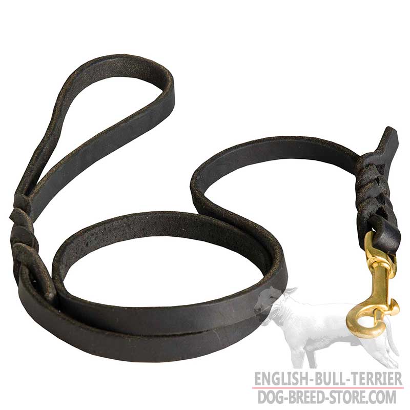 Hand-Decorated Leather Bull Terrier Leash for Walking