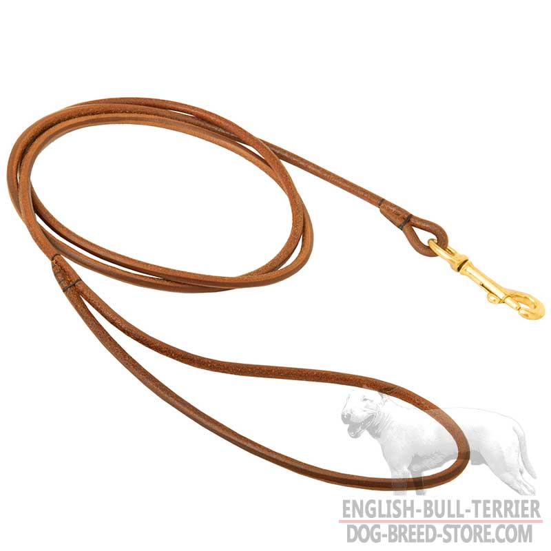 Slim Round Leather Bull Terrier Leash