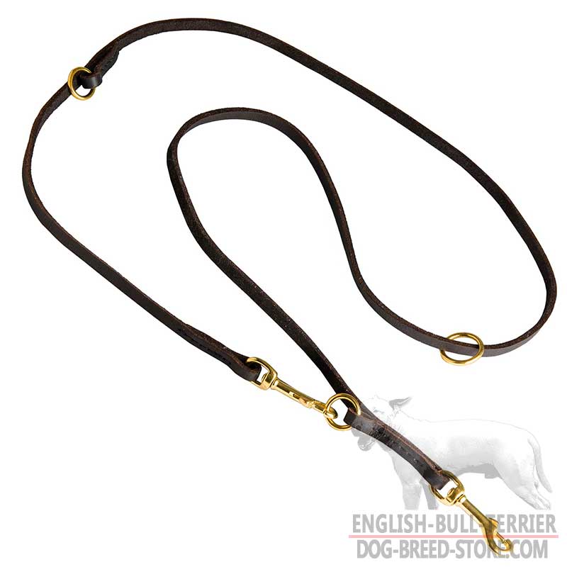 Multifunctional Leather Bull Terrier Leash
