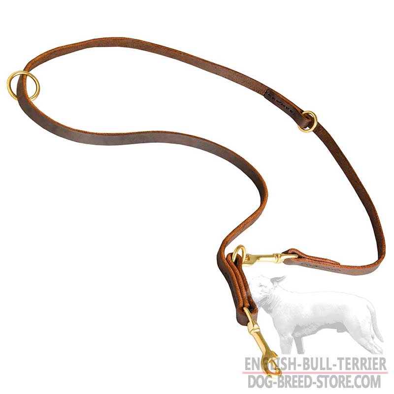 Durable Leather Bull Terrier Leash for Walking