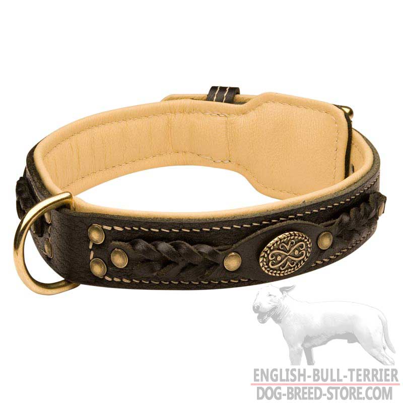 Handcrafted Padded Leather Bull Terrier Collar for walking