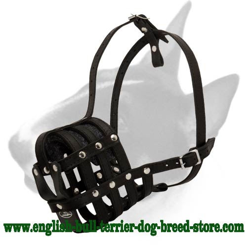 Perfect Ventilation Leather Bull Terrier Muzzle for Training