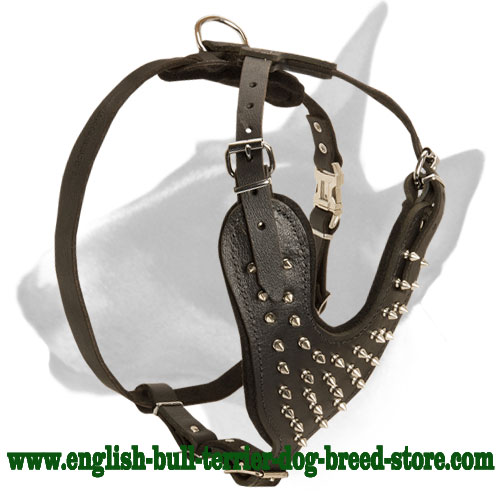 Adjustable Designer Spiked Leather Bull Terrier Harness