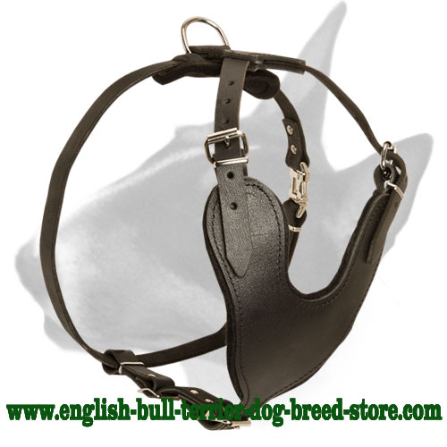 Heavy Duty Adjustable Leather Bull Terrier Harness for Training - Click Image to Close