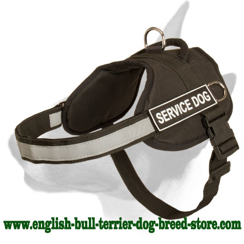 All-Weather Training Nylon Bull Terrier Harness for Police Work