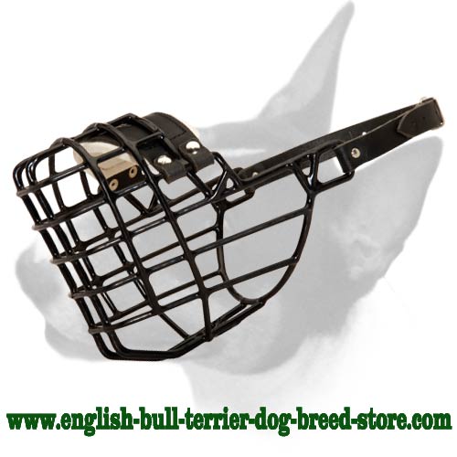 Rubber Covered Wire Cage Bull Terrier Muzzle for Winter