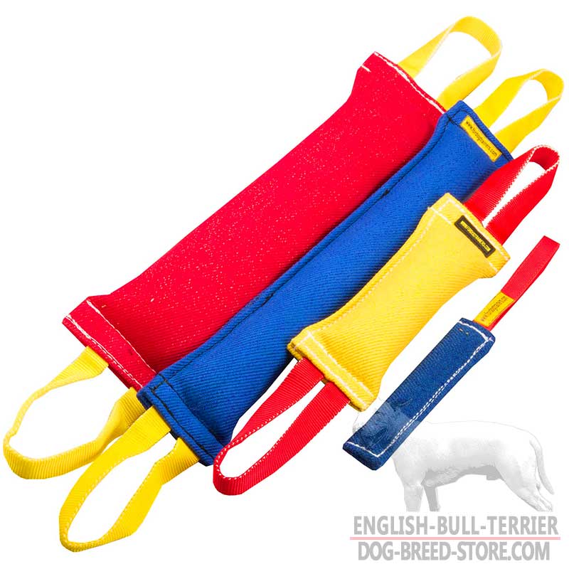 French Linen Bull Terrier Set of 4 Items for Training Adult Dogs - Click Image to Close